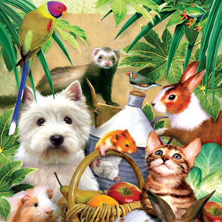 РОЛИКИ С ПИТОМЦАМИ🤗