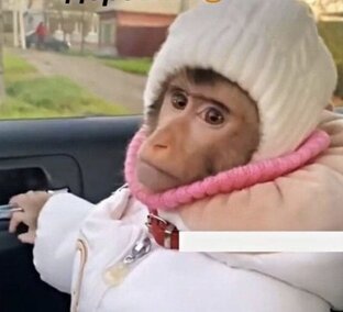 Сказки змеек о ЯШке и не только 