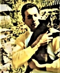 Тайна завещания Фредди Меркьюри