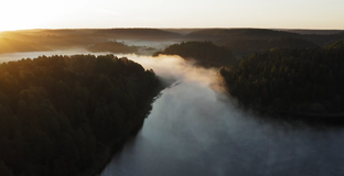 Ленинградская область