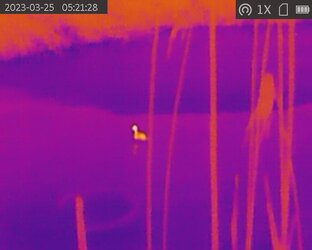 Тепловизор Аркон