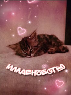 Младенчество