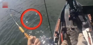 Удачный улов 