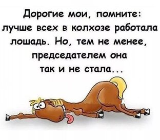 Перфекционист или нарцисс?