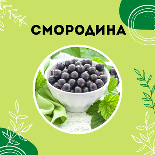 Про смородину