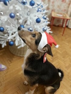 Итоги