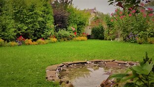 Обзоры моего сада