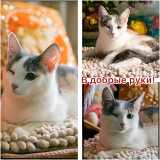 Мишель в ожидании чуда!