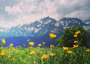 Красная Поляна 🏔️