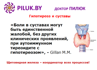 Щитовидная железа