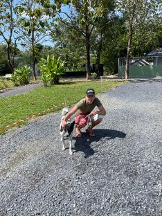 Soi Dog Fondation