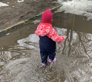 Скачки развития