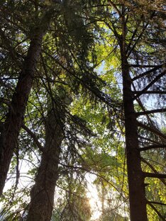 Кто я? И зачем я? Какое у меня место в этом прекрасном мире?