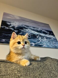 Отзывы клиентов😻