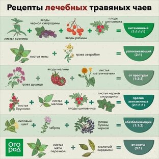 Лечебные травы чая