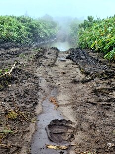 Сахалин и Курилы