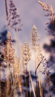 10 фактов о ...