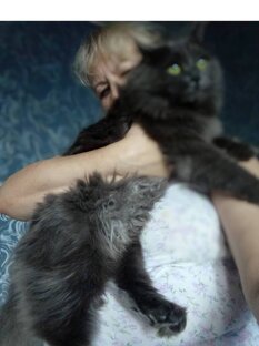 Милый котик Мося