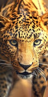 Своими руками