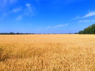 То с чего всё началось...