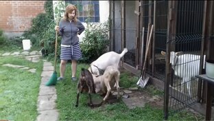 Хозяйское подворье моё и моих коллег)