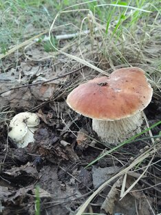 Сибирские будни))