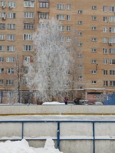 Проект Саввинское.
