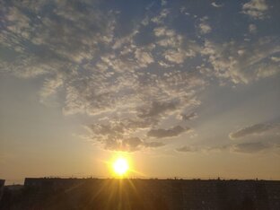 Лаванда - старшая дочь