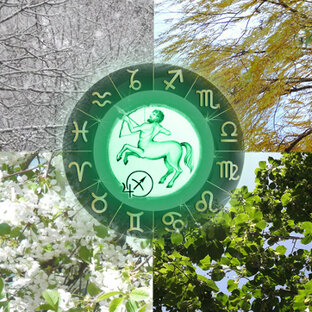 Гороскопы для Стрельца