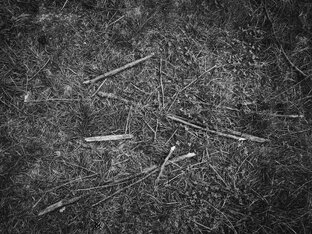 Рунный дневник