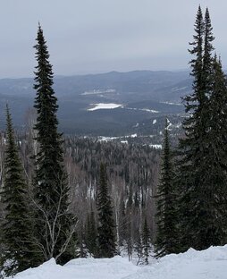 Покатушки