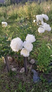 Лето в полном разгаре!