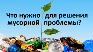 Проблемы экологии. Благоустройство