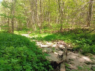 Поисковый сезон 2023✌🥰