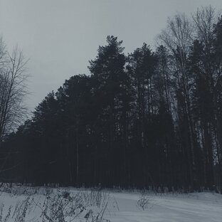 Природка