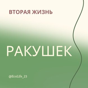 Вторая жизнь морских природных материалов
