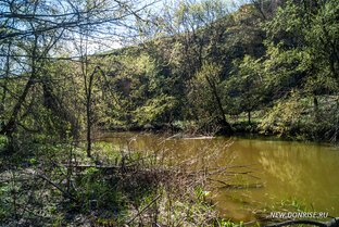 Донецкий кряж