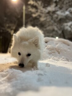 Знакомство с зимой
