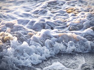 видео и короткие ролики