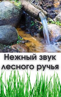 Звуки воды (лесной ручей, лесная река)