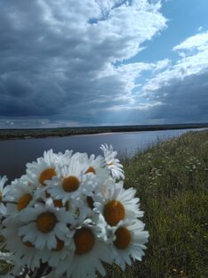 Про мечты, планы и саморазвитие