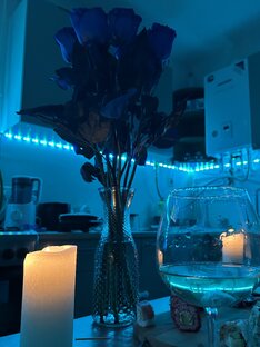 Синие розы - моя любовь