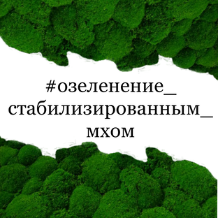 Стабилизированный мох и растения