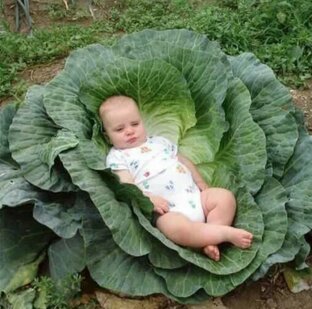 Юмор без пошлостей😊