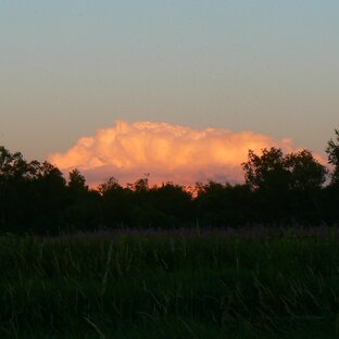 Воскресный вечер 2 июля.