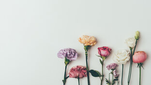 Саморазвитие!