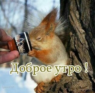 Хорошули