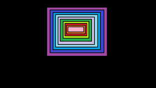 хомяковые :3