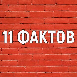11 фактов о разном и разных