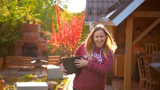 Сериал про жизнь в деревне